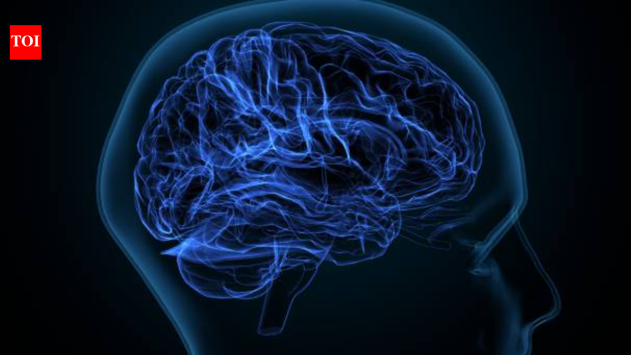 HealthBrain health: 4 everyday habits doctor says 