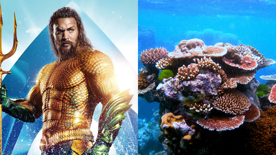 Jason Momoa raises alarm over coral reefs nearing extinction; scientists report world's most widespread bleaching event