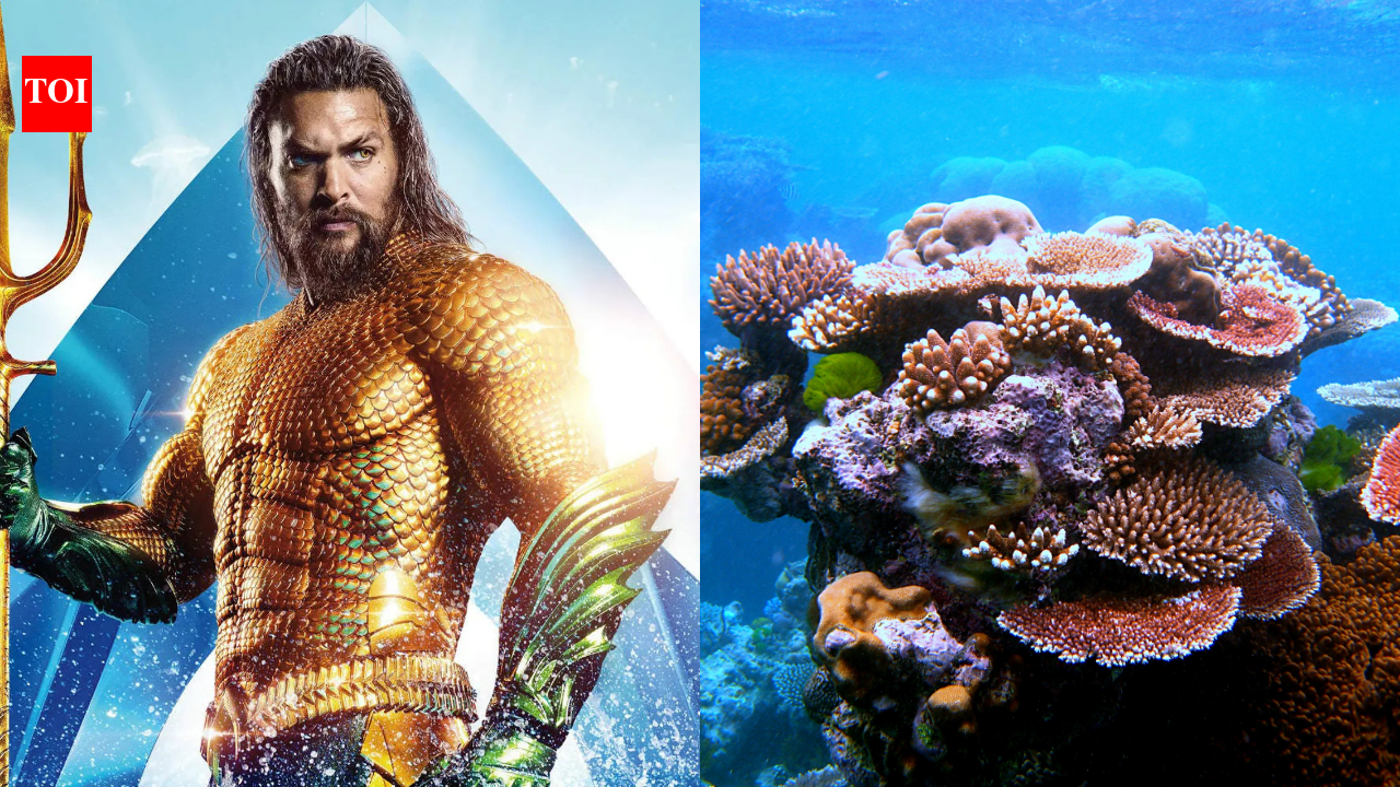 ScienceJason Momoa warns coral reefs near extincti