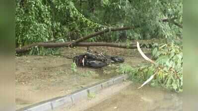 Two-hour downpour takes Ahmedabad past annual rain mark