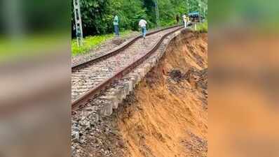 Timely action saves lioness, averts rail mishap