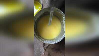 500kg suspected adulterated ghee seized in Rajkot