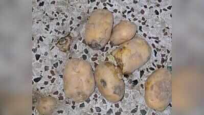 Ranak girls’ hostel kitchen sealed after rotten food found
