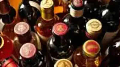 SC questions alcohol prohibition law, points to 5 'evils'