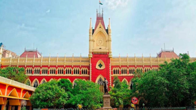 HC raps Bengal govt for detaining Murshidabad man on mere suspicion he was Bangladeshi