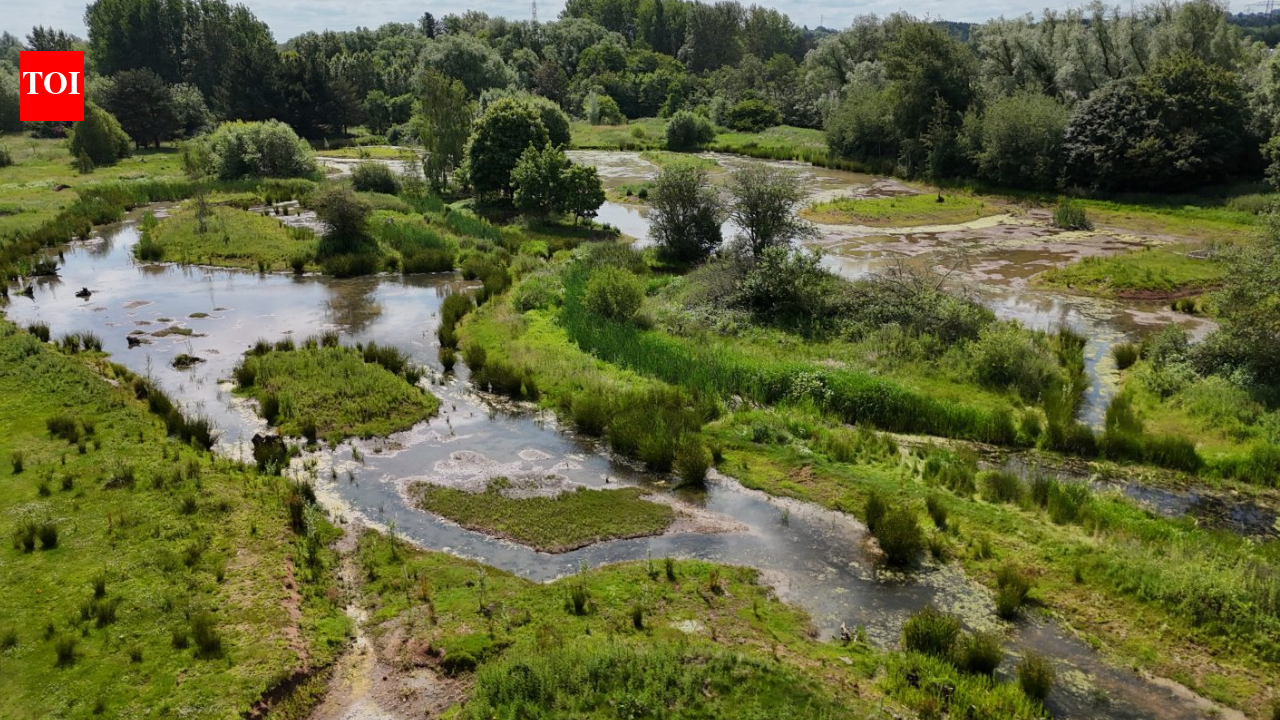 Rugeley Riverside Park: former power station golf course becomes wetland; 1.5km trail to open 2026