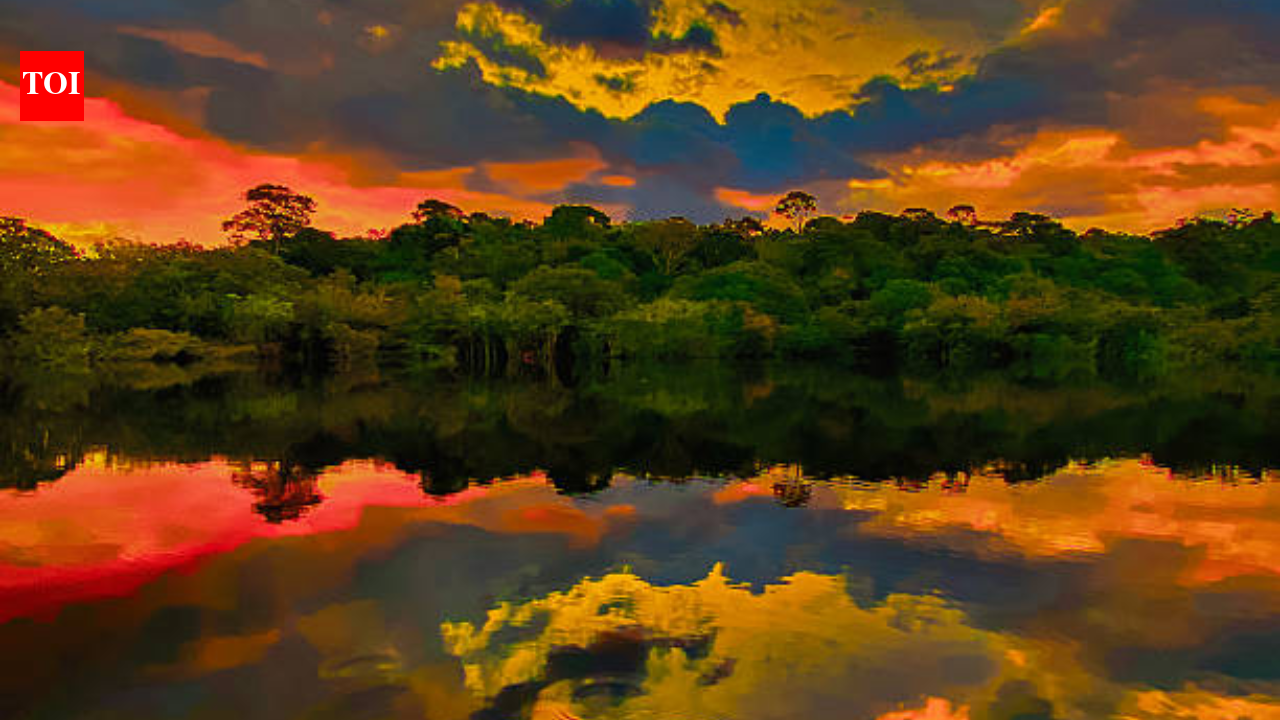 In 1927, Henry Ford built a town over a stretch of Amazon rainforest; in 1945 he was forced to sell it for $250,000