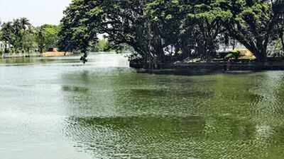 In 1960, Bengaluru had about 560 lakes: How the city's interconnected water system supported groundwater for centuries before rapid urbanisation fragmented the network and increased its dependence on distant water sources