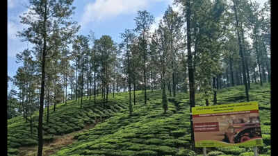 CPM urges CM Vijay to revise wages of Valparai tea estate workers