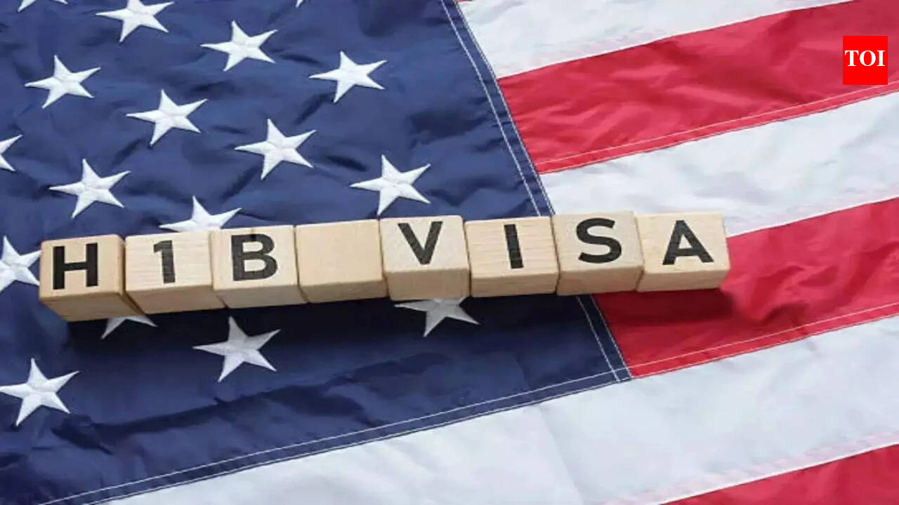 USCIS Voids H-1B Visa After Employer Falsifies Job Experience