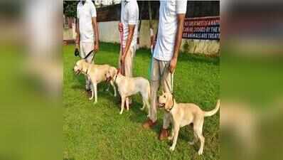 RPF seizes narcotics