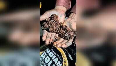 Fake pepper made with gum, dye seized in Ghaziabad farmhouse raid
