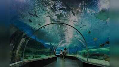 Walk-through aquarium coming up at Byculla Zoo in Mumbai early next year
