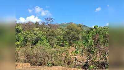 Hulaneshwar, the guardian of the hill at Caranzol