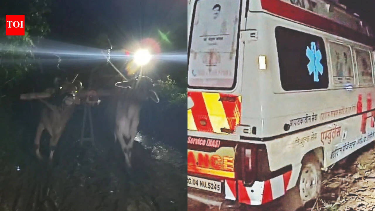 Ambulance stuck in mud, pregnant woman taken to ho
