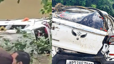 Cab swept away, 7 of Odisha family and driver die in Madhya Pradesh