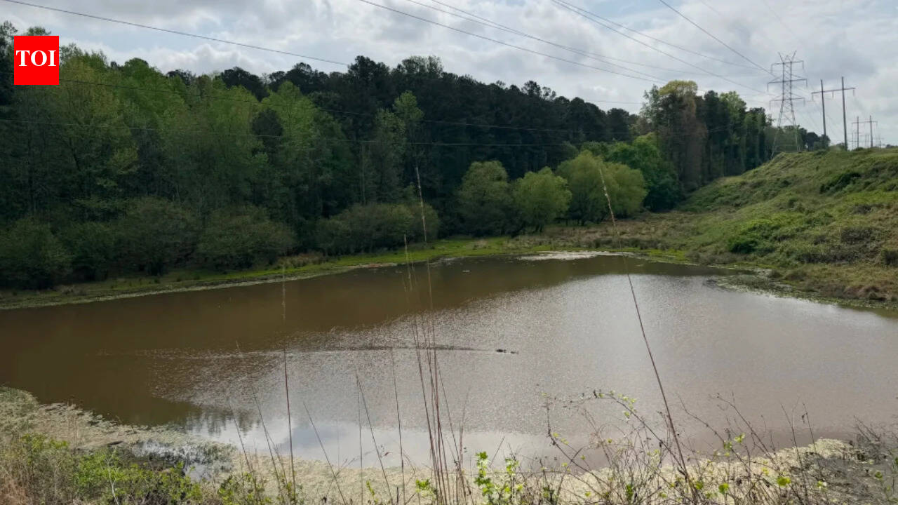 Atlanta teacher warned students away from locked 26-acre forest; $3 million may open it