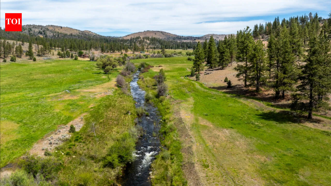 California funds 15 projects with $44 million to protect forests, desert and Tribal land