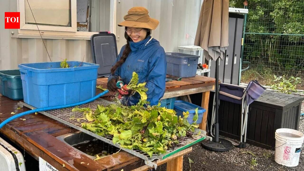 How this 17-year-old built a youth food rescue network