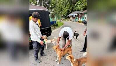 Before tigers return, Buxa steps up dog vaccination drive