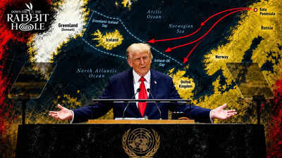 DOWN THE RABBIT HOLE: Is Donald Trump's Greenland deal crucial for America and Nato to counter Russia and China in the Arctic circle?