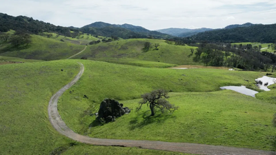 California’s 1,921-acre Mead Ranch is now protected as a $24 million acquisition strengthens wildlife corridors around Coyote Valley