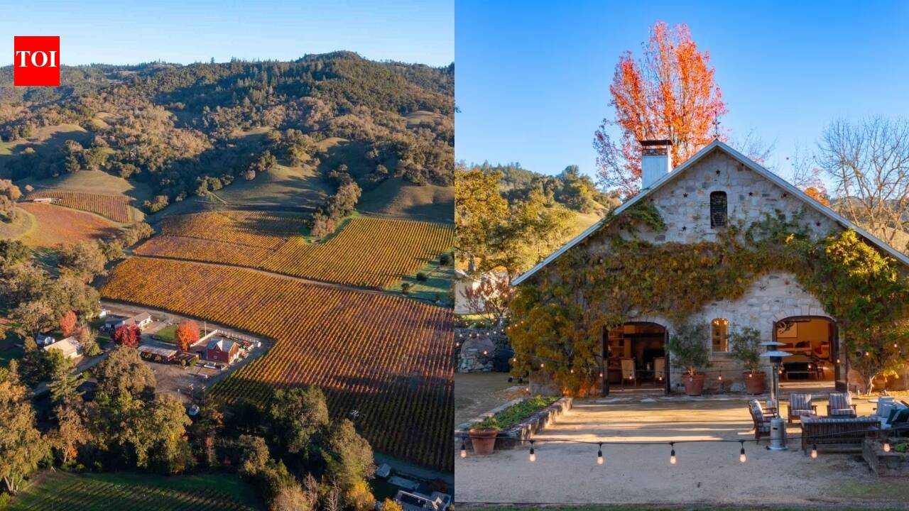 1887 winery hidden for decades now part of $35M Napa estate