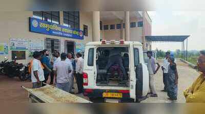 Farmer dies after bee attack in Barwadeeh, Latehar district