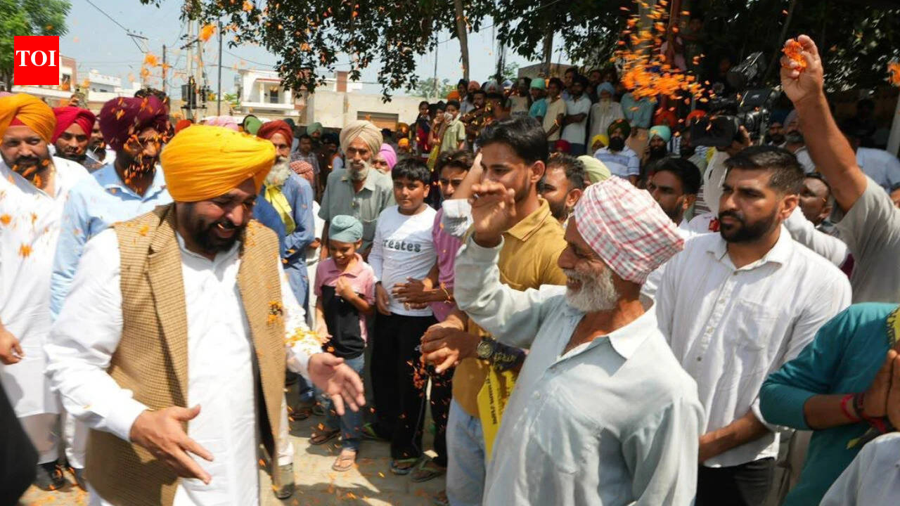 Punjab CM launches 'Mann Da Munafa' door-to-door campaign to highlight welfare schemes