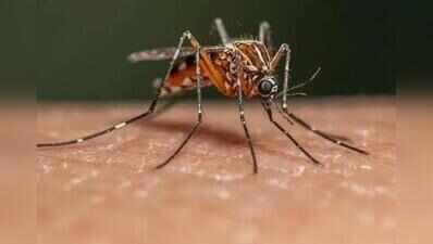 Chennai private hospitals face 12-hour bed waits as flu, dengue surge