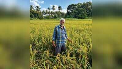 Curtorim seed saver to halt cultivation of heirloom rice
