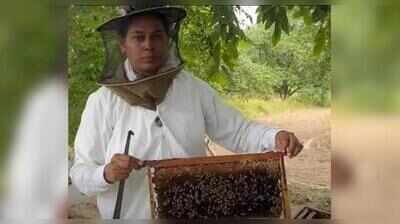 Beetle invasion dwindles honey harvest across Punjab