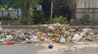 Safai strike backlog in Gurgaon leaves roads and green belts littered with garbage