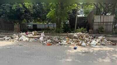 Safai strike backlog in Gurgaon leaves roads and green belts littered with garbage