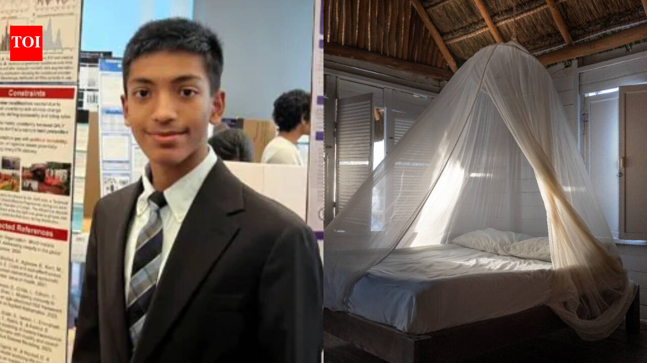 16-year-old student’s malaria model could double impact of mosquito nets, wins $50K