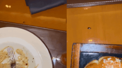 ‘Roachie’ joins dinner at Mumbai JW Marriott: Cardiologist finds baby cockroach, hotel takes note
