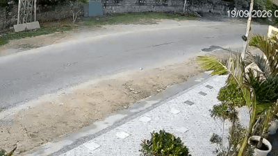 Jaipur hit-and-run: 57-year-old dies after speeding Thar hits scooter, CCTV emerges