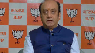 BJP's 'Muslim League-Maoist Congress' swipe after ex-VP Hamid Ansari cites Nehru