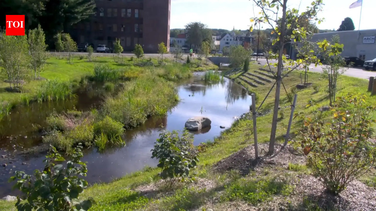 Mill Brook Crossing: Athol daylightes buried stream and rips up parking lot; new wetlands cool downtown