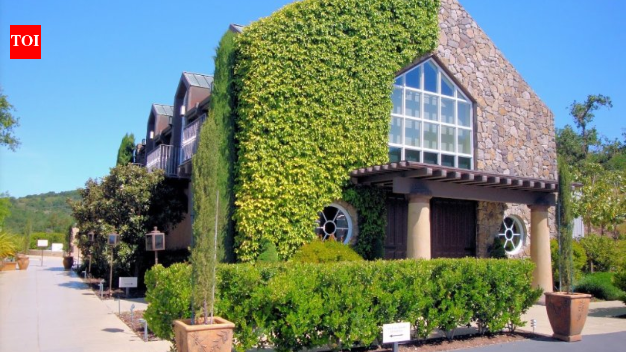 Napa family rebuilt winery after 2017 wildfire for $30M; nine years later, $37M debt puts estate at risk