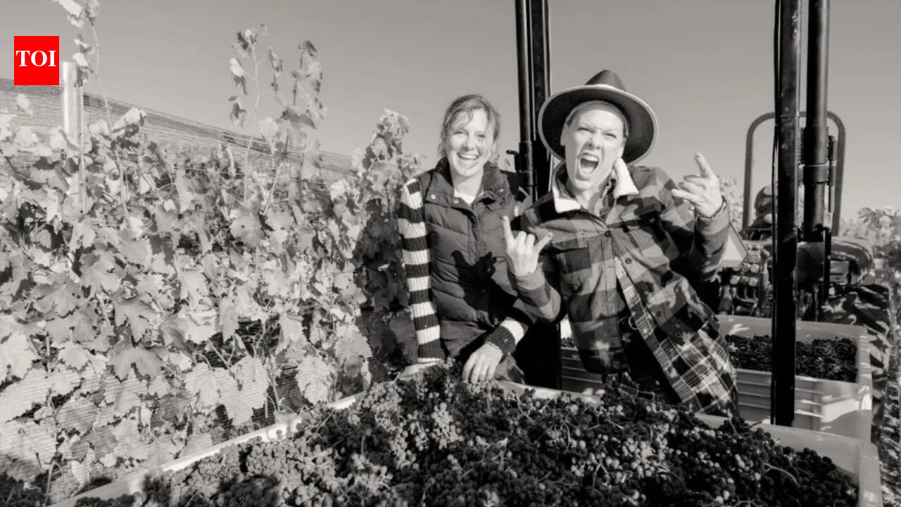 In 2013, Pink bought a 200-acre California ranch for $9M; it is now a working vineyard