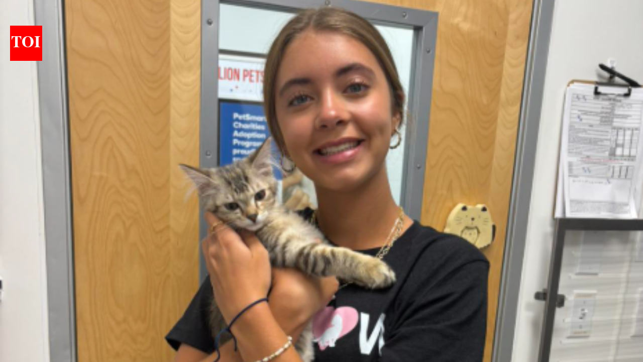 Meet Sawyer Tinsley, Florida teen who raised $25K for rescue pets after fostering a kitten saved her from loneliness