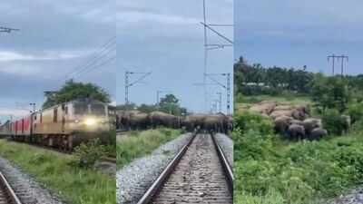 When Rajdhani Express stopped in Assam: The unusual encounter that held up India's one of the superfast trains