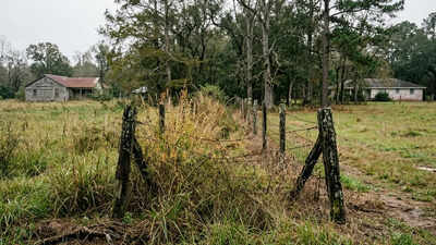 Louisiana neighbours fought over a 70-foot strip of land; after signs, bright lights and even a dead cow appeared near the boundary, an appeals court upheld $15,000 in damages and an injunction