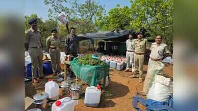 Odisha STF takes over probe into Rs 225 crore hashish oil haul in Koraput