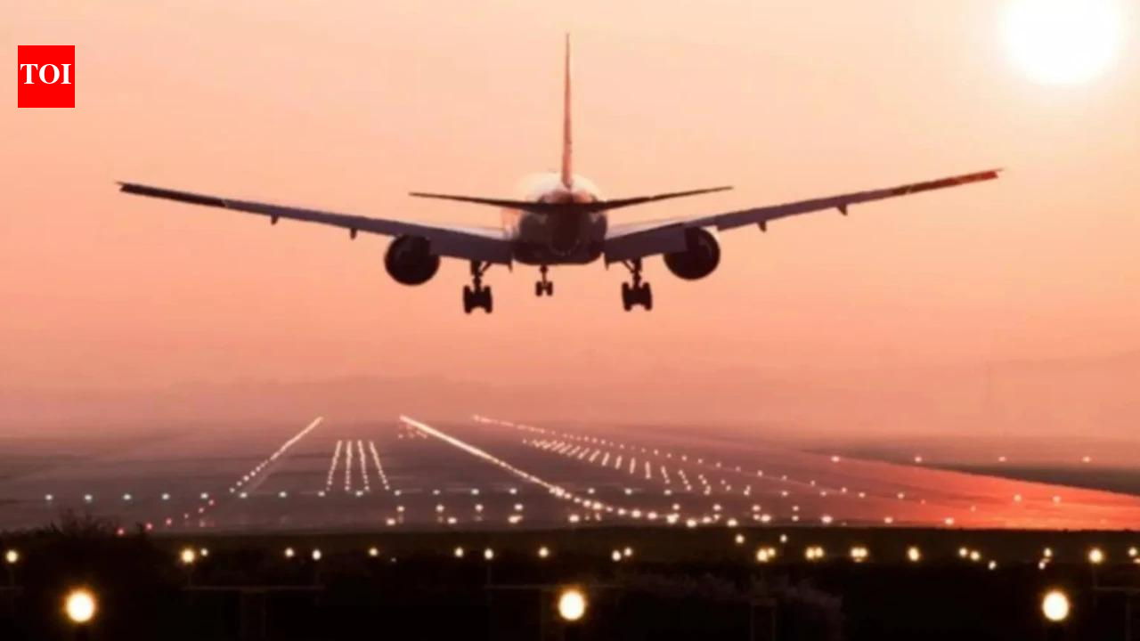 2 Indian students die in Canada air accident during flight training