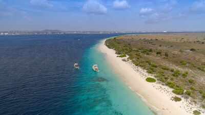 Bonaire fenced dry forest to keep goats out; 15 years later, only 22 of 60 native tree species had returned naturally