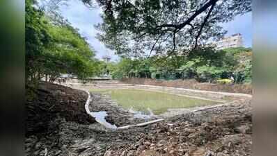 Anna Nagar Tower park renovation nearing completion