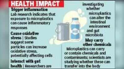 Microplastics found in packaged, fresh cow milk: Study