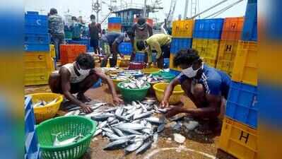 Labour shortage leaves nearly 25% of trawlers at Cutbona jetty idle